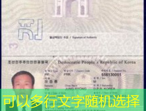 从故宫到莱茵河：北京家庭零失误移民德国的5个隐藏步骤